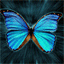 rfnz070613@mail.ru avatar